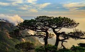 逢节必涨广受诟病 景区如何摆脱门票经济“依赖症”