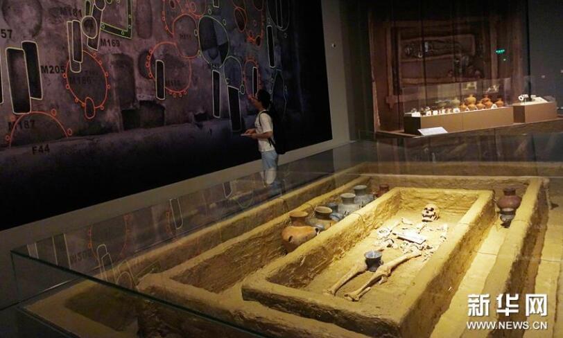 5000年前“山东大汉”身高达1米9 为目前焦家遗址最高