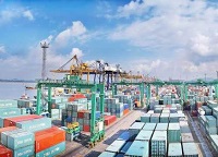 进口博览会各地交易团组建“加速跑”