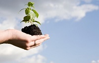 国际能源署：中国明年将成全球最大天然气进口国