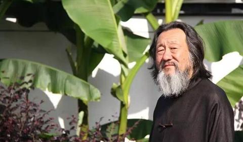 书画家王华：梦醉丹青 中华传统文化的守望者