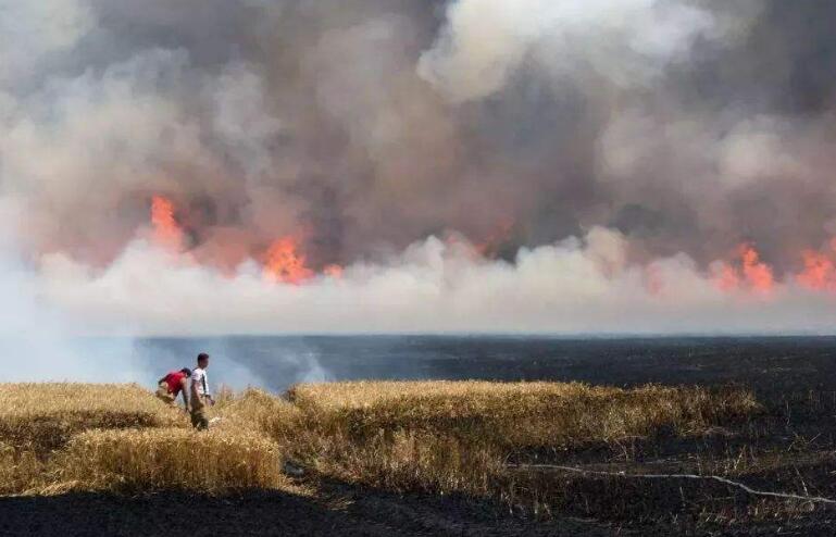 北极圈现超30℃高温 全球多地“高烧”引关注