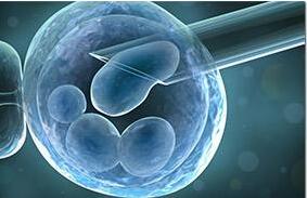 国内试管婴儿30年 “发育成熟”还要走多久