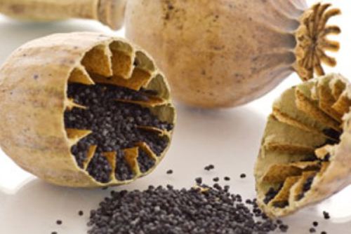 食品调料中添加罂粟壳制假者售假者均被公诉