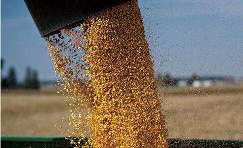 美国７月农产品出口价格创近７年来最大跌幅