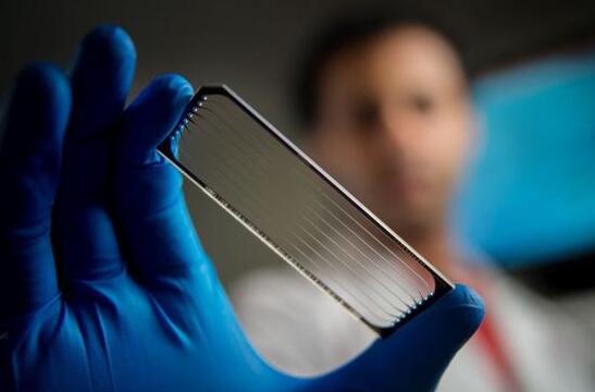 微软推出人工智能心脏病风险预测指标