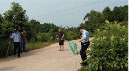 十天两狗伤人 四川一名镇党委书记带队捕杀无主犬