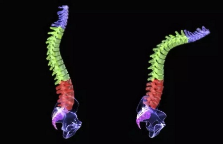 这种病被称作“不死的癌症” 很多上班族都有