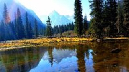 八月下旬至九月中下旬 自然保护区专项巡查开展