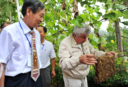 济泉蜂蜜  中亚蜂业合作突出贡献者