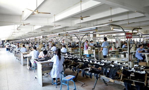 民营企业富贵鸟盘活重整 多方合力开拓海外市场