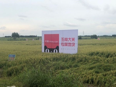 蚂蚁金服食品安全溯源再落子，给东北五常大米上“身份证”