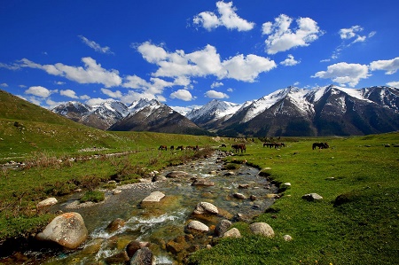 新疆：“私人定制”重构旅游产业链