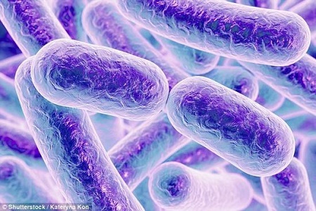 400万年前细菌战斗力爆表能杀死现代超级病毒