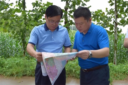 山东高密市委副书记、市长王文琦到注沟现代农业发展区视察防汛工作