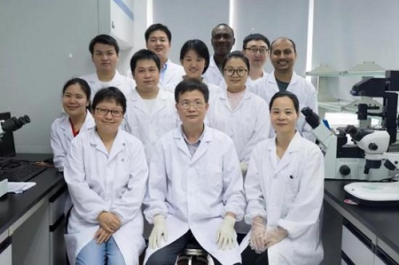 疟疾的罪魁祸首疟原虫：可以借助免疫系统杀死癌细胞