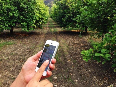 研究：58%美国农村居民难以连入高速互联网