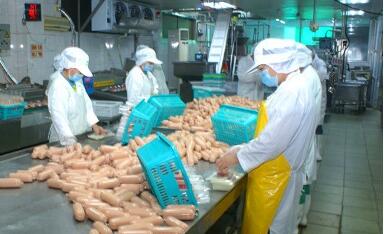 在深圳见识工业化素食生产的领军企业