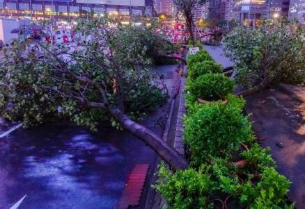 台风山竹致香港海陆空交通受影响889班航班取消