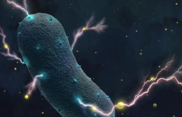 人体肠道细菌可以“发电”：主要目的是制造能量