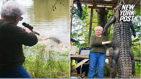 美国老太为给宠物马报仇一枪打死3.7米长鳄鱼