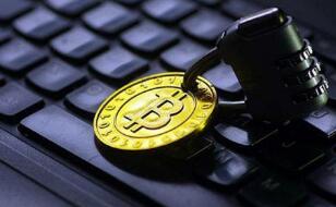 加密货币已是老皇历大麻成为当红炸子鸡