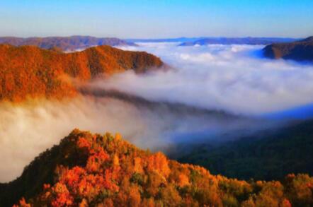 美丽龙江 多彩萝北