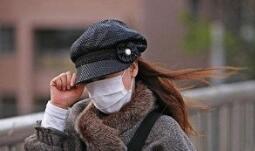 北京最低气温仅3℃创半年来新低白天阵风或达7级