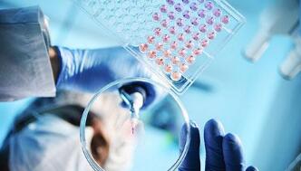 国产创新药为何总难产？临床前研究亟待补上关键一环