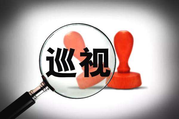 中纪委网站将公布十九届中央第一轮巡视整改进展情况