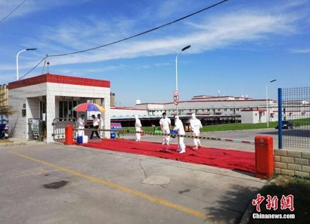 农业农村部：未经批准任何人不得采集非洲猪瘟病料