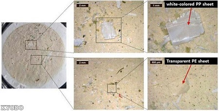 海洋污染日益严重亚洲多地9成食盐中检出微塑料