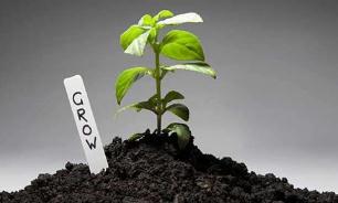 土壤污染防治法明年施行 立法保障吃住放心安心