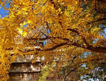 今天北京晴暖持续明后天扩散条件转差有轻度霾