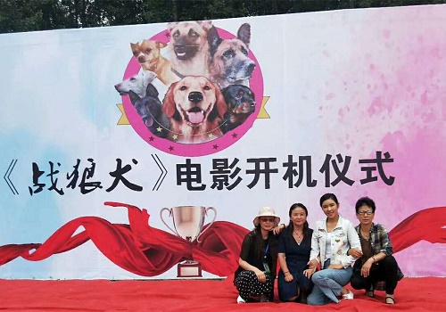 电影《战狼犬》树立网络影视剧主旋律新标杆