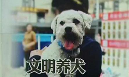 最严养犬令！遛狗不牵绳或者无证养狗将被严罚
