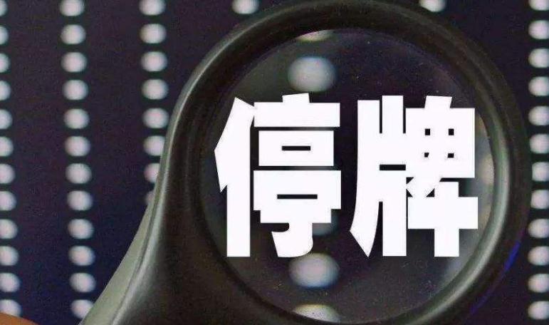 最严停牌新规来了 证监会放大招深夜惊醒一批公司