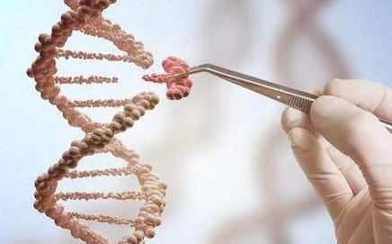 基因编辑婴儿诞生后 这个国际峰会“炸锅了”