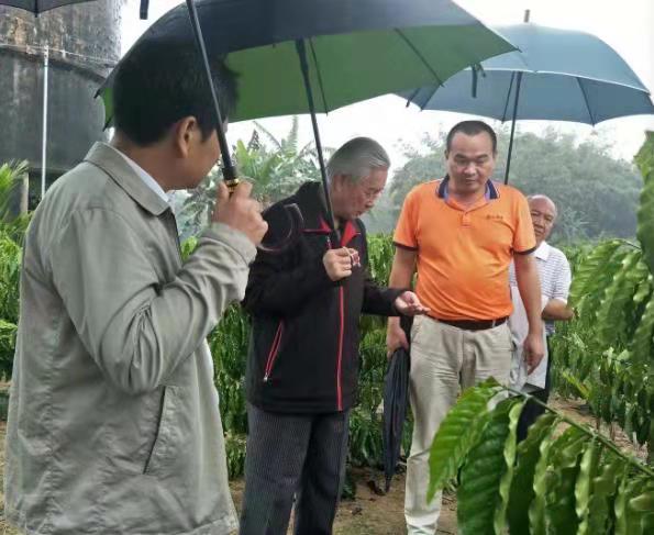 前联合国官员徐及不远千里追寻母山咖啡味道