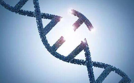 基因编辑人体临床试验将在美国启动