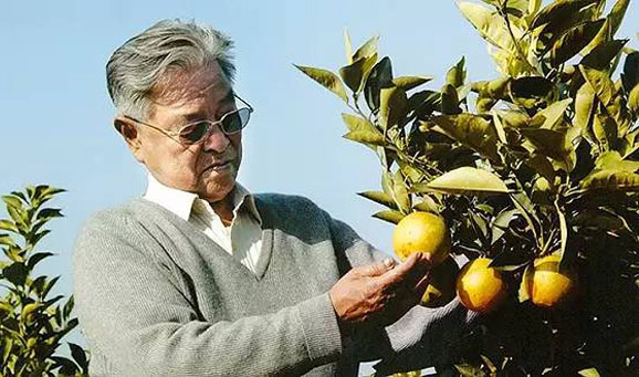 传奇褚时健——致敬改革开放，致敬传奇人物系列之一