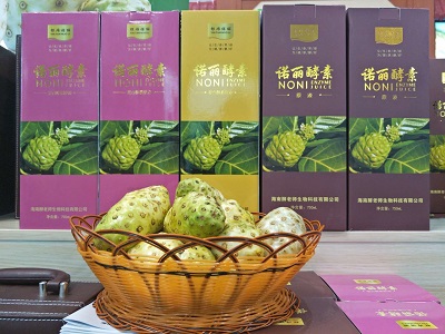 聚焦冬交会丨酵老师：隐藏在海南冬交会的“潜力股”