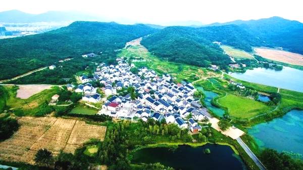 山东烟台新推两大农业“新政”   优质农产品产能将进一步提升