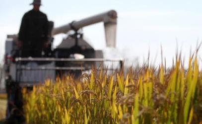 农民进城落户承包地会否被收回？官方谈最新规定