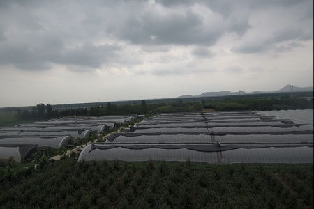 严格监管规范服务，济宁品牌农产品基地建设驶入快车道