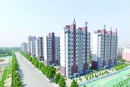 山东平原优化营商环境，创新推动产业发展