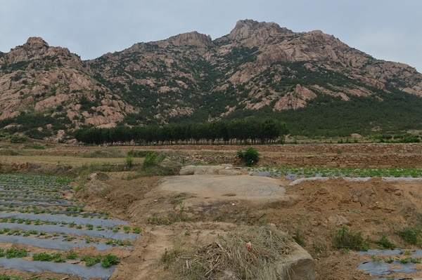 中国山东古代岩画重大发现