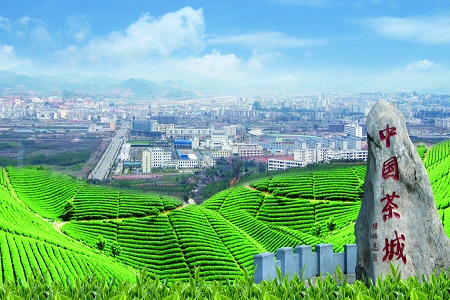“中国茶城”云南思茅做实国家现代农业产业园