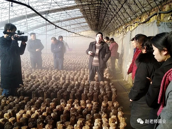 遵化市食用菌协会开展科技下乡活动  提高农民科技素质