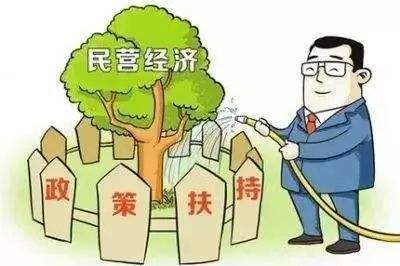 陈阳：海南采取五大举措缓解民营企业发展障碍
